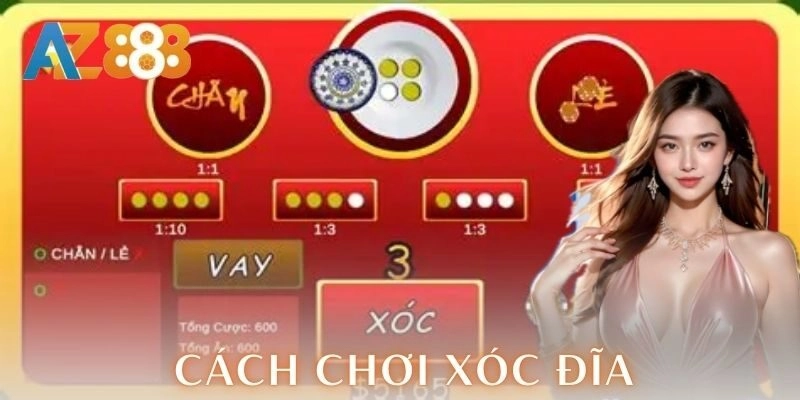  Kinh nghiệm cho người mới