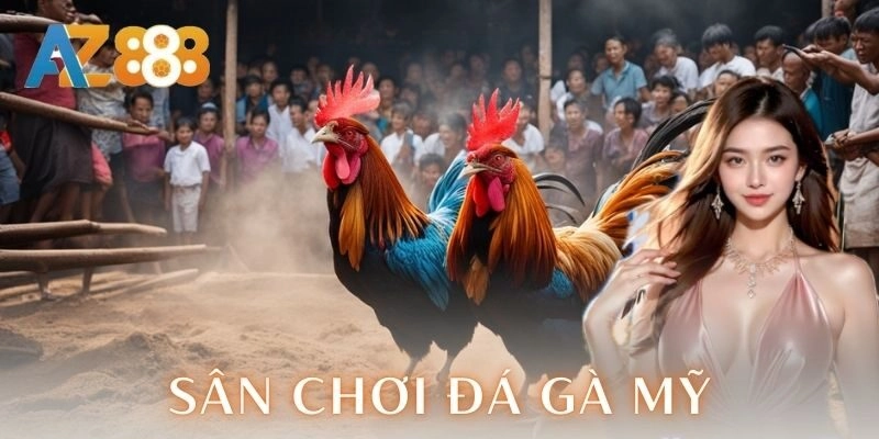  Luật pháp và an toàn khi tham gia